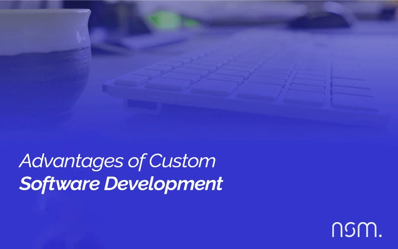 Advantages of Custom Software Development 